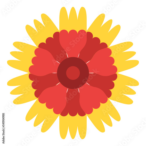 gaillardia flower