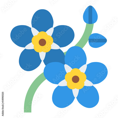 myosotis flower