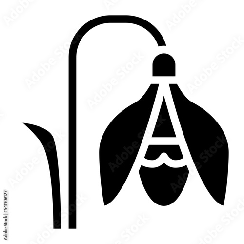 snowdrop flower