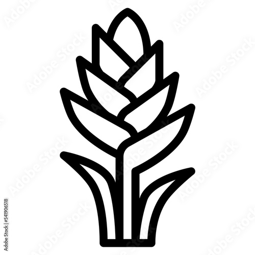 Slika na platnu bromeliad flower
