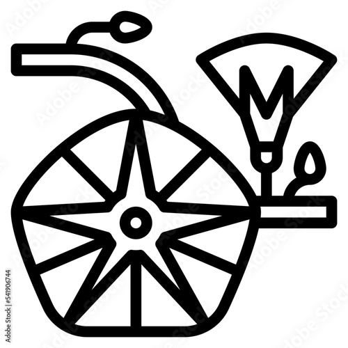 morning glory flower