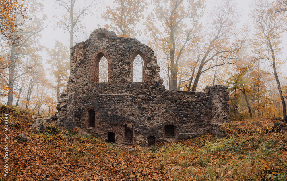 Medieval castle ruins in autumn, Krimulda, Latvia Medieval castle ruins in autumn, Krimulda, Latvia