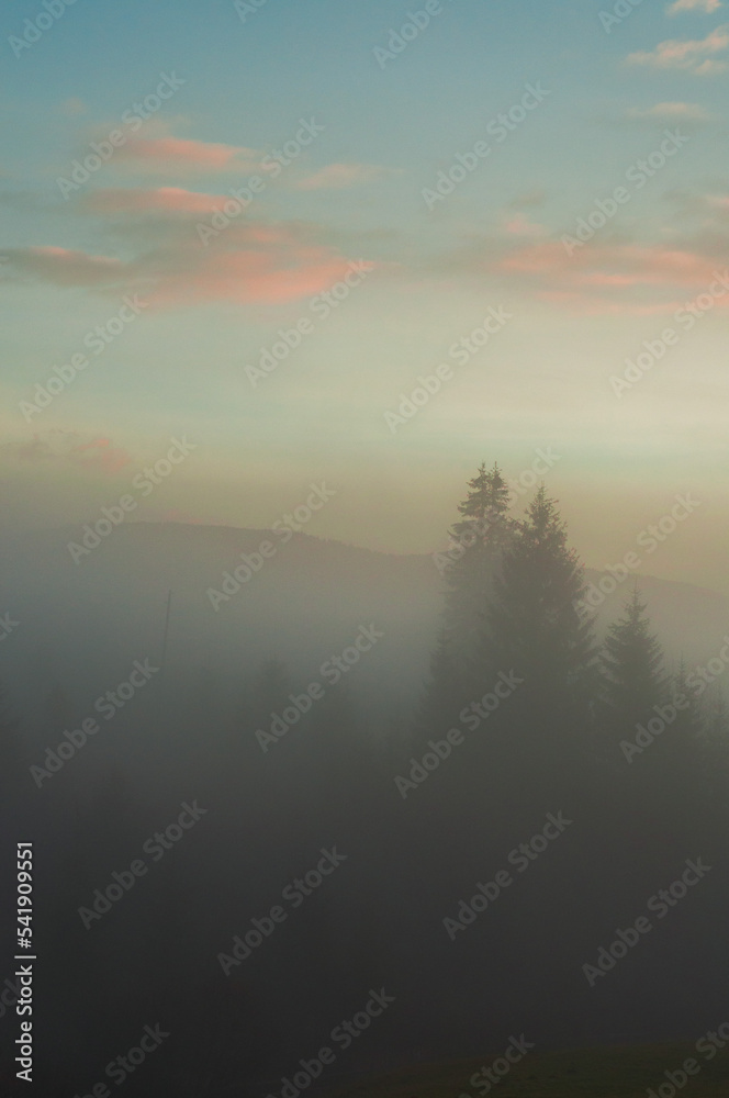 foggy cloudy morning sunrise in the mountains, forest, high mountain village in blue and pink colors