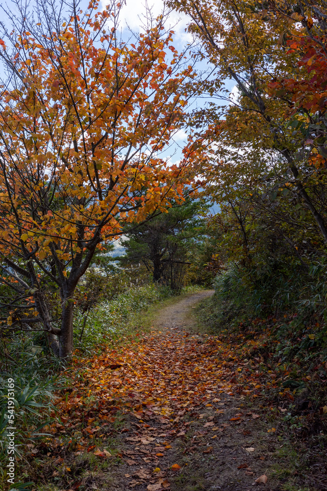 日本の岡山県と鳥取県に跨る三平山の美しい紅葉
