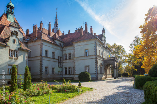 Castle-Palace of the Count Schoenborn photo