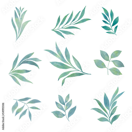 set of watercolor leaves for design  green abstract branches with leaves.