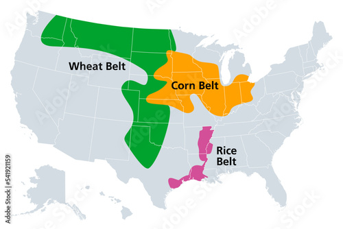 Corn Belt, Wheat Belt and Rice Belt of the United States, political map. Regions in the U.S. states, that grow the nations dominant portion of maize, wheat and rice. Isolated illustration, over white.