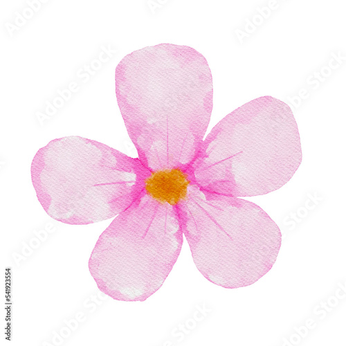 Pink flowers watercolor painting on transparent background.Element file png .