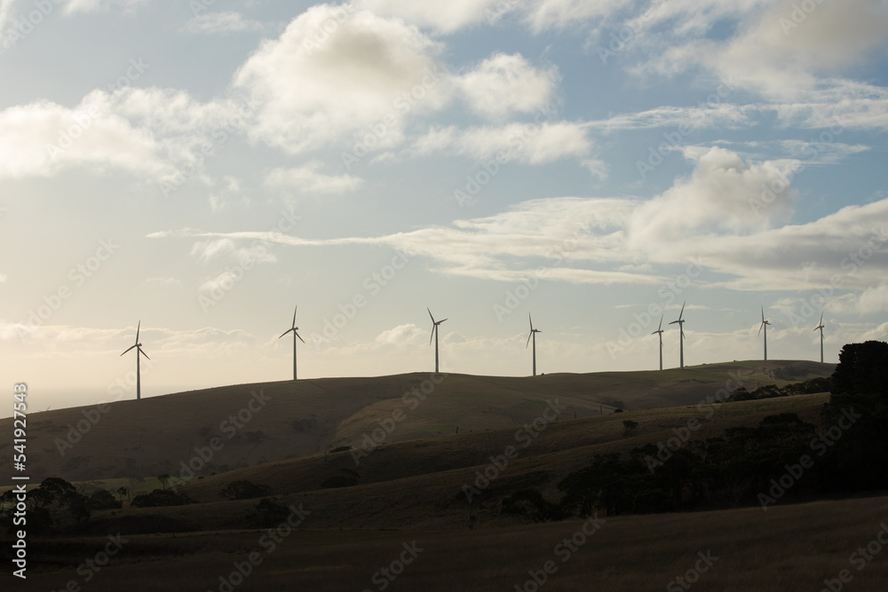Silhouetted row of wind turbines on a hill in a paddock Silhouetted row of wind turbines on a hill in a paddock