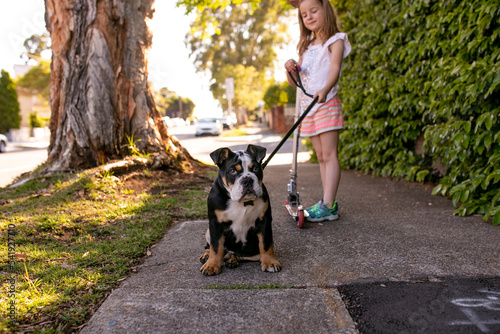 girl holding a scooter with her pet dog on a leash on the sidewalk with a big tree photo
