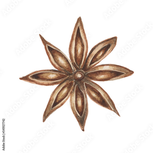  Star Anise Watercolor Illustration photo