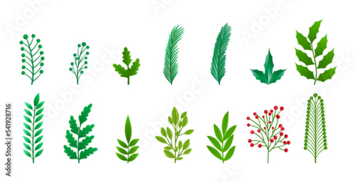 set of isolated christmas leaves elements design
