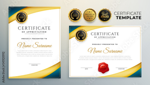 premium certificate of appreciation in professional style