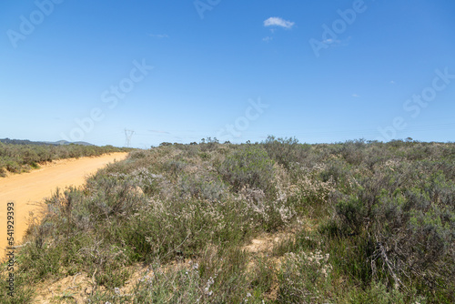 Landscape along a gravel road close to Malmesbury in the Western Cape of South Africa