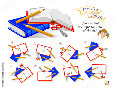 Logic puzzle game for children and adults. Can you find the right top view of objects? 3D maze. Page for brain teaser book. Developing spatial thinking. IQ test. Play online. Vector illustration.