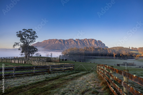 Foggy morning view of Mt Roland with fences, stockyards and paddocks in foreground photo