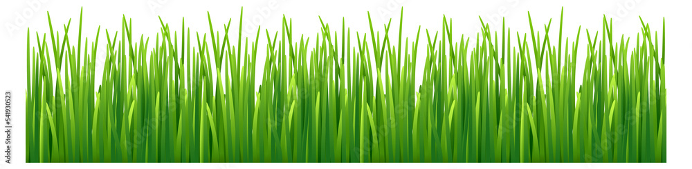 Grass seamless border. Green lawn. Nature frame Grass seamless border. Green lawn. Nature frame