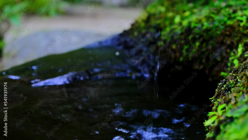 日本、湧き水、寺院、澄んだ春、秋の風景