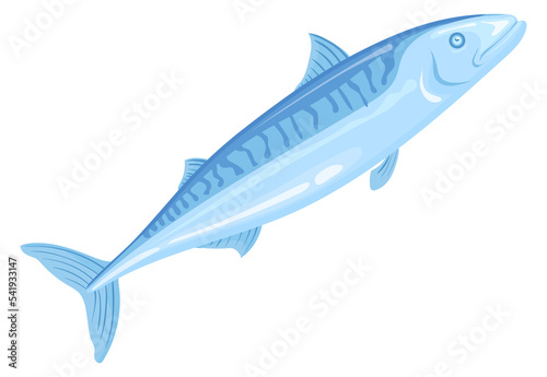 Silver mackrel. Atlantic ocean fish. Traditional trawl symbol