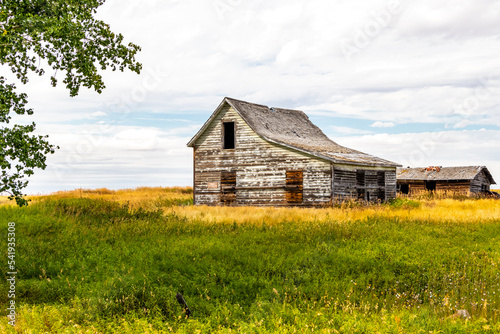 Rustic farm buildings on the prairies. Vulcan County, Alberta, Canada
