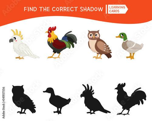 Educational  game for children. Find the right shadow. Kids activity with cute cartoon birds.