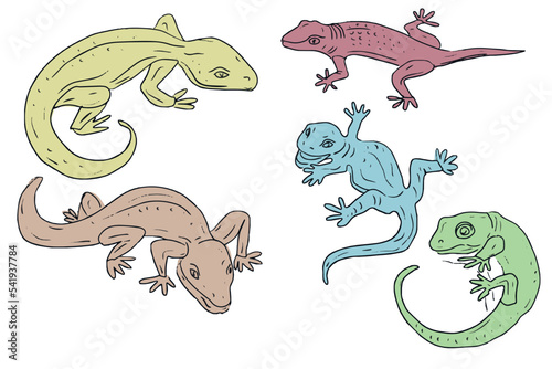 Gecko lizards wildlife animals reptiles desert dwellers set isolated on white background elements cute cartoon style hand drawn