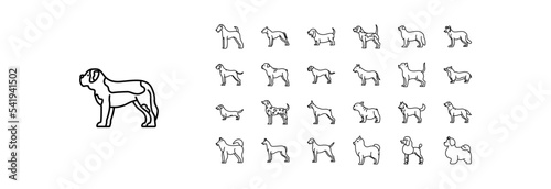 
Collection of icons related to Dog Breeds, including icons like Airedale, American Staffordshire and more. vector illustrations, Pixel Perfect set