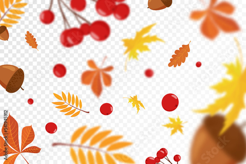 Falling colorful autumn maple and oak leaves, viburnum and acorns with defocused blur effect. Autumn background with leaf fall for your design. vector illustration. Flat design