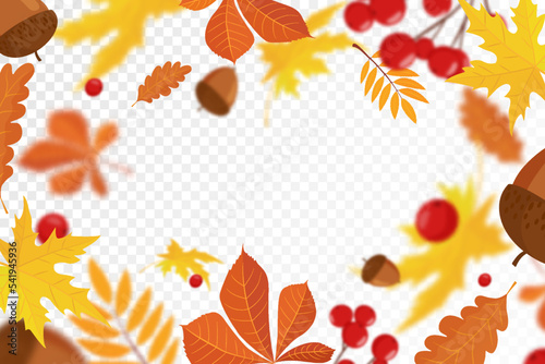 Falling colorful autumn maple and oak leaves, viburnum and acorns with defocused blur effect. Autumn background with leaf fall for your design. vector illustration. Flat design