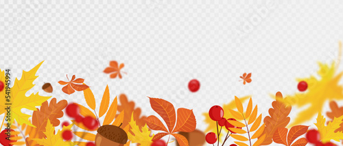 Falling colorful autumn maple and oak leaves, viburnum and acorns with defocused blur effect. Autumn background with leaf fall for your design. vector illustration. Flat design
