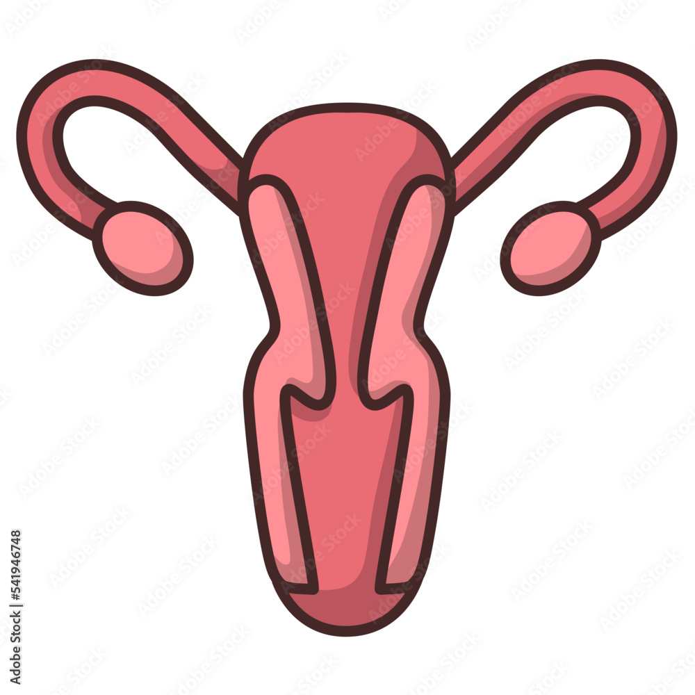 Vaginal Illustration Health Woman Organ Female Anatomy Medical Stock 