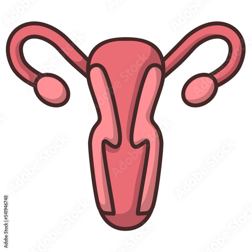 vaginal illustration. health woman organ. female anatomy medical