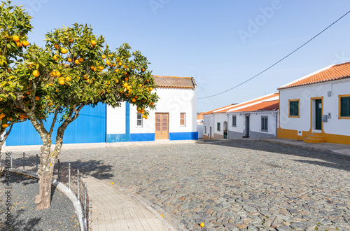 square with orange trees in Ervidel, municipality of Aljustrel, district of Beja, Alentejo, Portugal