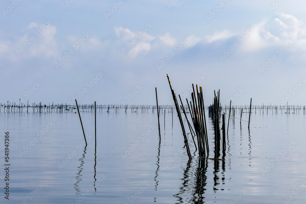 琵琶湖の魞漁（エリ漁）は「エリ漁などの琵琶湖の伝統漁業」として世界農業遺産に登録されました