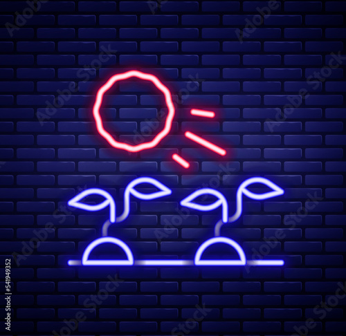 Glowing neon line Plant sprouts grow in the sun icon isolated on brick wall background. Seedling concept. Colorful outline concept. Vector