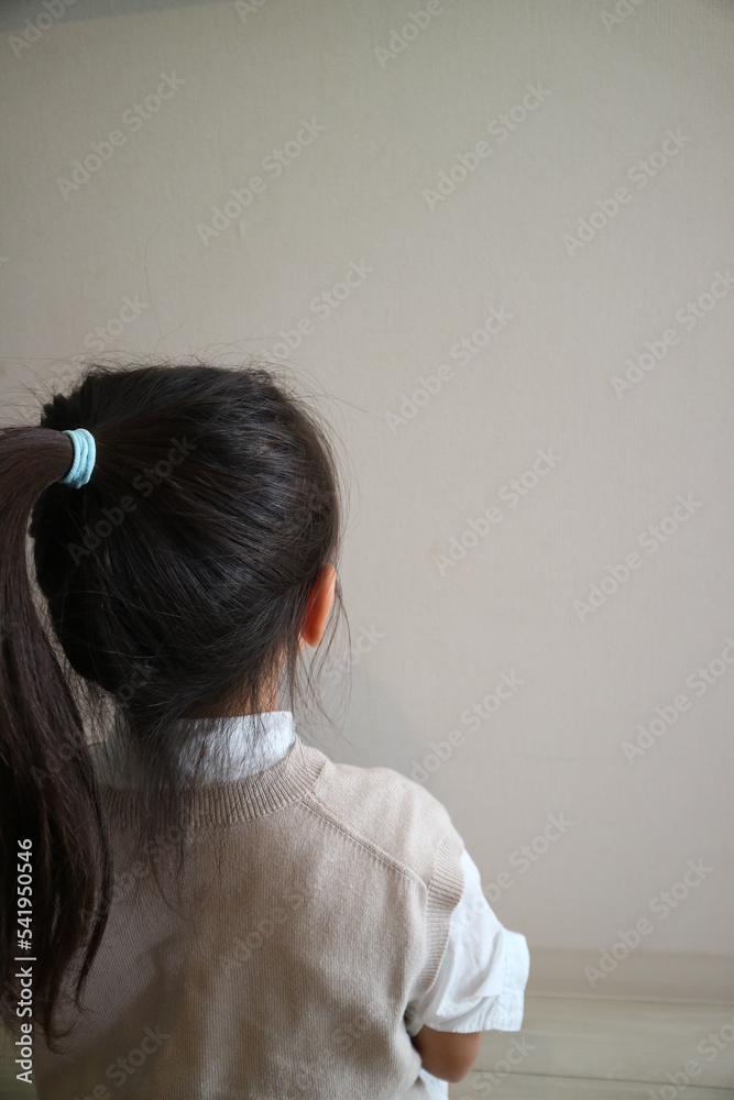 Fototapeta premium 黒髪ポニーテール後ろ姿