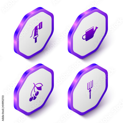 Set Isometric Garden hose, Watering can, Fresh berries and pitchfork icon. Purple hexagon button. Vector