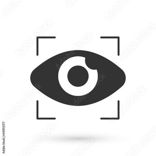 Grey Big brother electronic eye icon isolated on white background. Global surveillance technology, computer systems and networks security. Vector