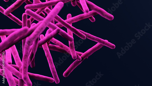 Mycobacterium tuberculosis bacteria, bacterial disease, 3d render photo