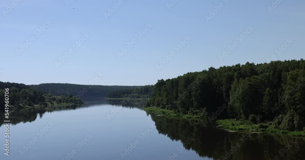 Trees in a mixed forest near the river in the summer season, the reflection of trees in the water of the river during the day Trees in a mixed forest near the river in the summer season, the reflection of trees in the water of the river during the day