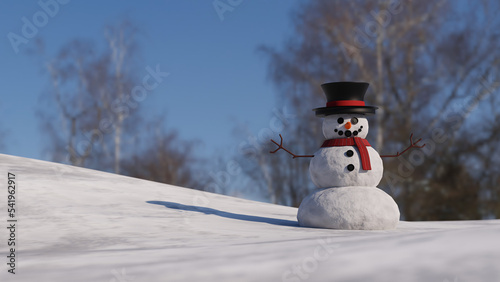 Smile and nose of a snowman. Winter vacation. Frosty weather. Snowman in the park. 3d rendering.