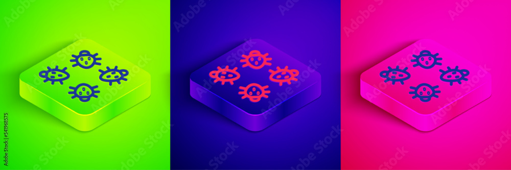 Isometric line Colorado beetle icon isolated on green, blue and pink background. Square button. Vector Isometric line Colorado beetle icon isolated on green, blue and pink background. Square button. Vector