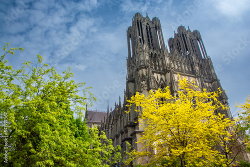 Cathedrals of Reims in spring photo