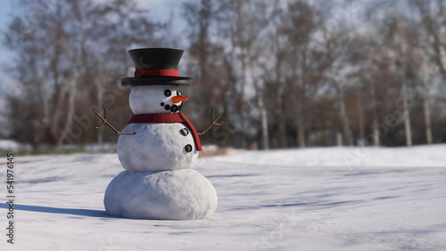 Smile and nose of a snowman. Winter vacation. Frosty weather. Snowman in the park. 3d rendering.