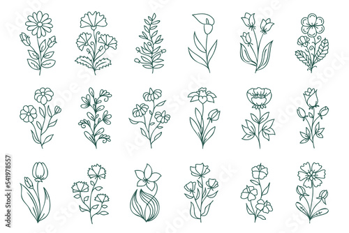 Floral line art set, linear botanical vector design elements. Flower drawings with thin line. Collection of blooming hand drown flowers, contour drawings.
