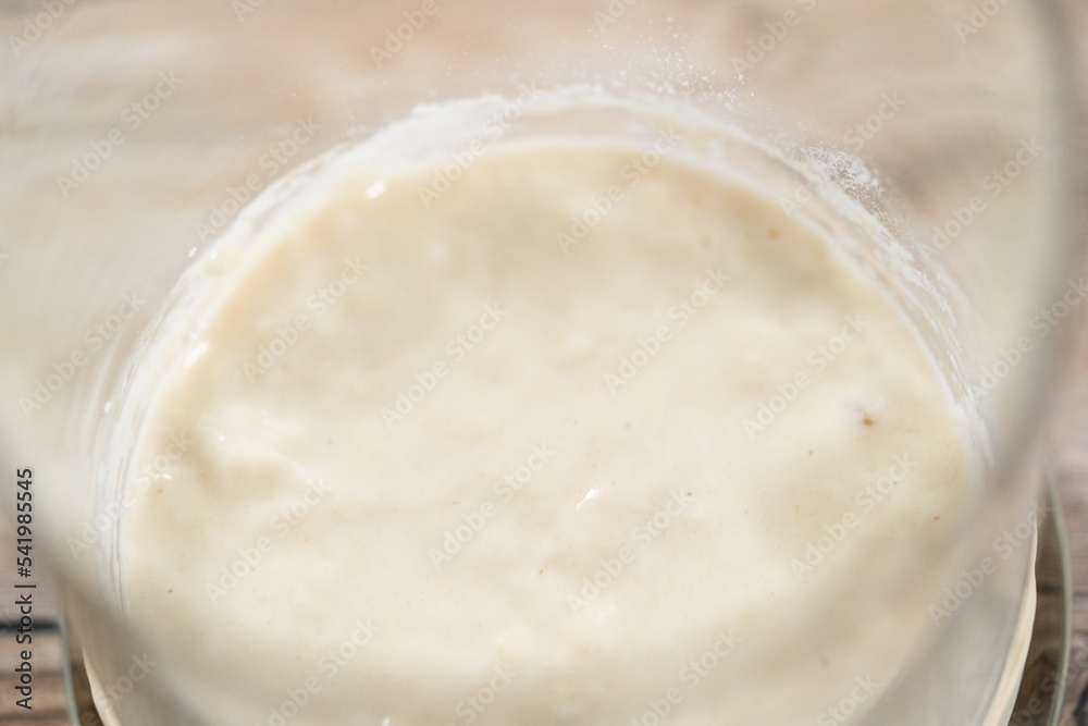 Sourdough starter Sourdough starter