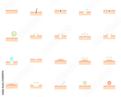 set of skin icons, epidermis photo