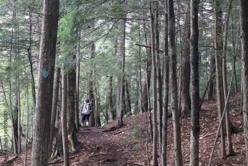 hiking through the forest and lakes at limberlost trails photo