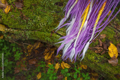 Colourful synthetic box braids lying on a moss covered tree trunk in an autumn environment. photo