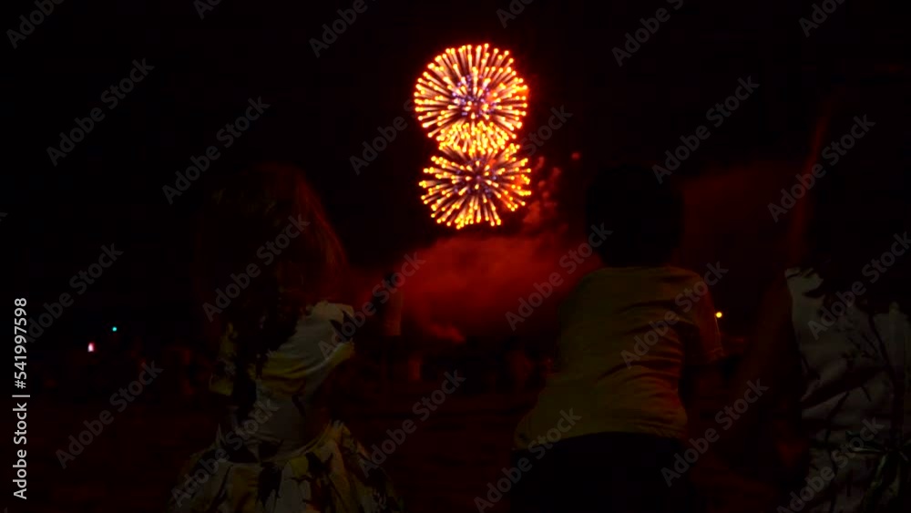 Back view of children looking at the sky and admiring the beautiful fireworks Back view of children looking at the sky and admiring the beautiful fireworks